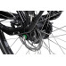 Batavus Finez E-go Power Exclusiv Lageinstap Zwart Glans 53cm 2025