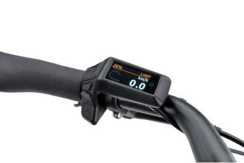 Batavus Altura E-go Cp Plus N7400wh Lageinstap Zwart Mat 56cm 2025